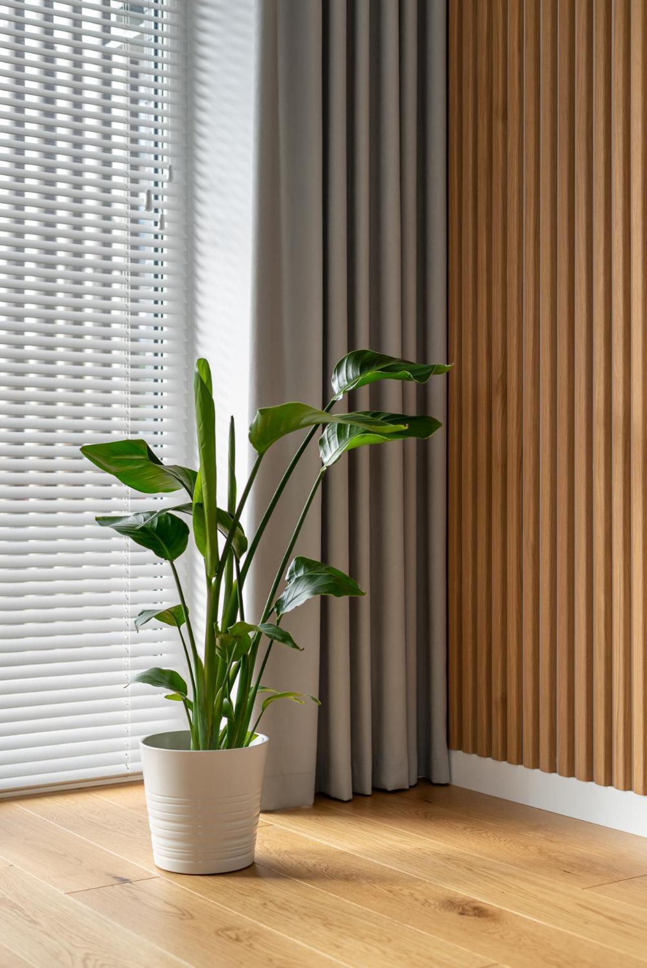 D33 Vilnius - Brand New Luxury Apartment With Terrace, Garden, Ac And Parking Kültér fotó